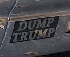 dump trump.jpg